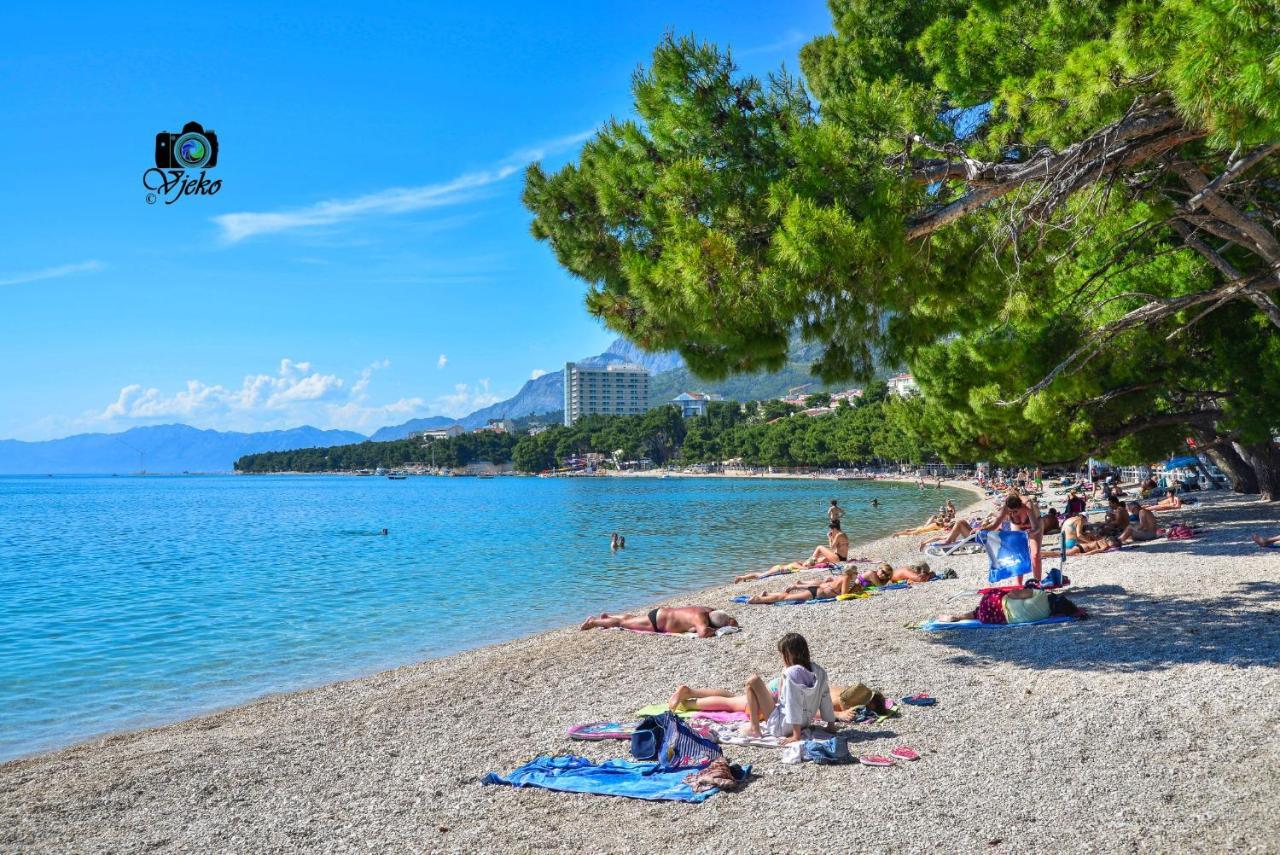 Mate * Makarska