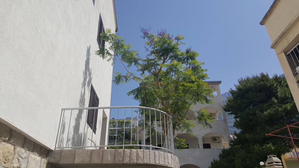 Mate Makarska